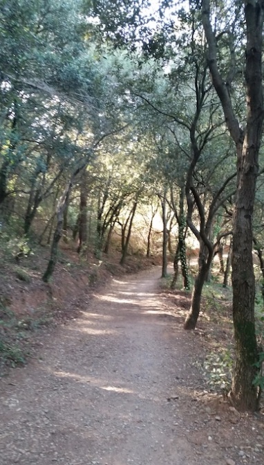 excursio amb nens a la mola 8