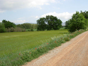 vallès oriental amb nens