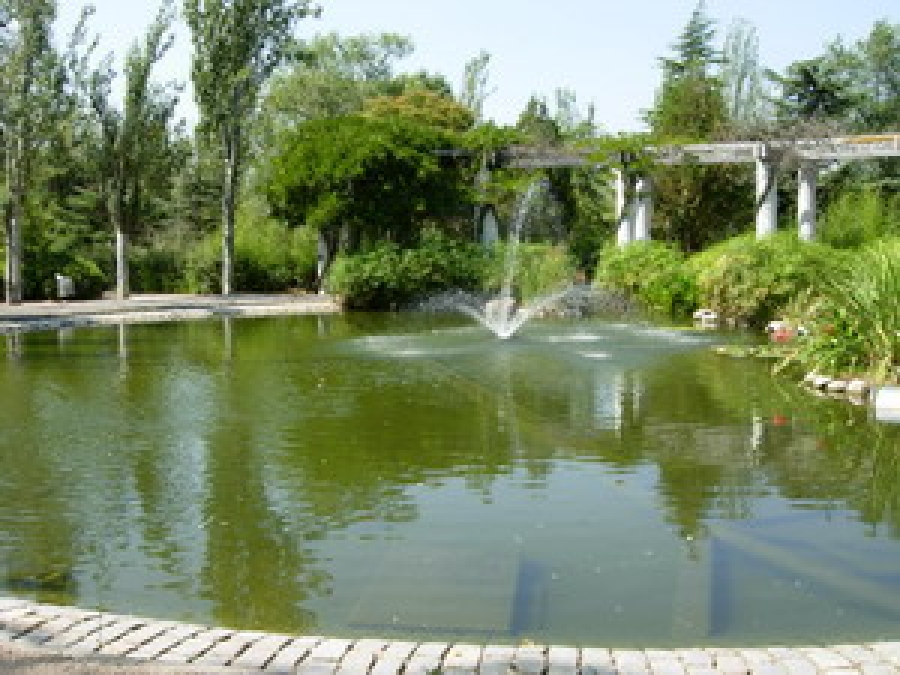 PARC DE LA PLANA LLEDÓ