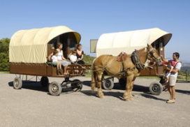 en familia en caravana