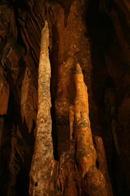 coves de salnitre