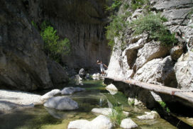 matarranya2