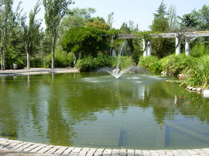 parque de la plana lledó con niños