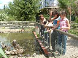 centre de recuperació de fauna salvatge