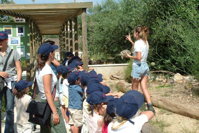 ver animales salvajes con los niños