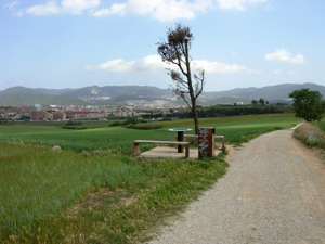 En bici con niños por Gallecs 