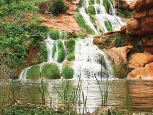 sant-miquel-del-fai-con-niños