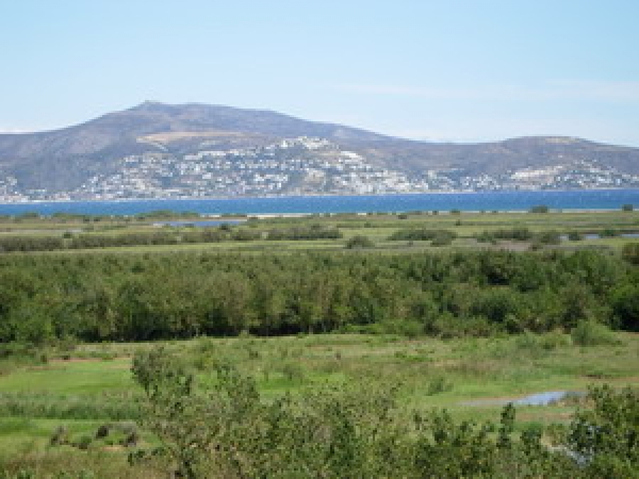 aiguamolls de l'empordà