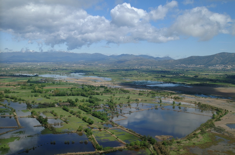 aiguamolls de l'empordà