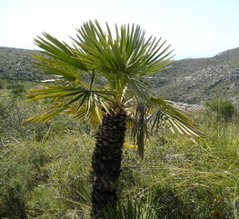 parc del garraf