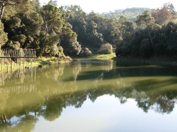 pantano de vallvidrera