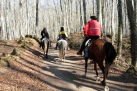 la fageda d'en jordà