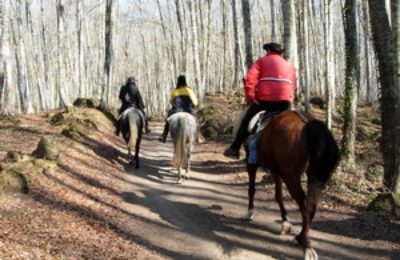 la fageda d'en jordà