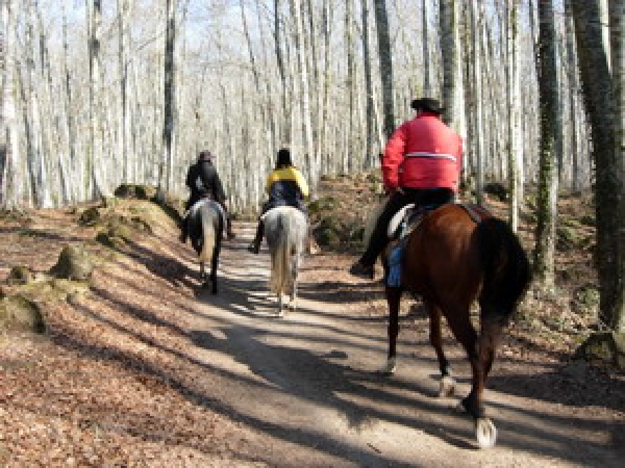 la fageda d'en jordà