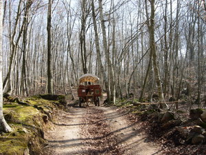 EXCURSIÓN CON NIÑOS POR LA FAGEDA D'EN JORDÀ