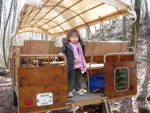 EXCURSIÓN CON NIÑOS POR LA FAGEDA D'EN JORDÀ