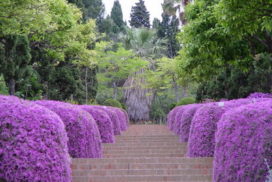 Jardín Botánico Marimurtra