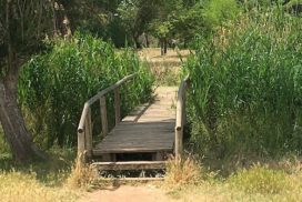 parque de l'hostal del fum