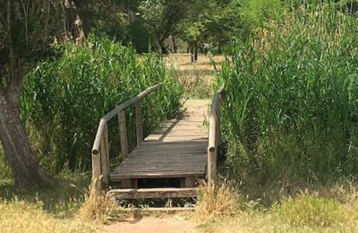 parque de l'hostal del fum