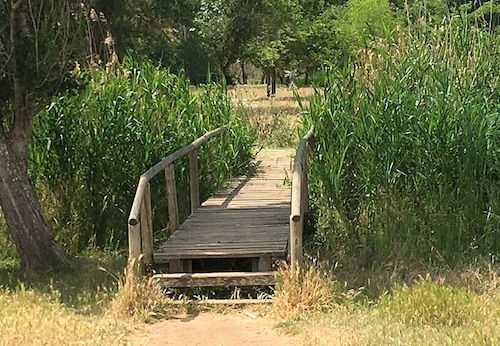 excursiones para hacer con niños con carritos de bebé