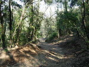 la garrotxa amb nens