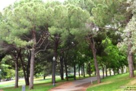 Jardins de Mossèn Cinto Verdaguer