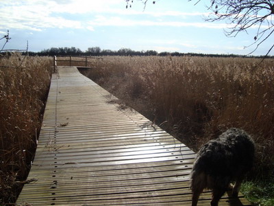 camí de les llúdrigues