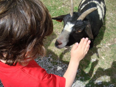 con niños en el Ripollès