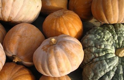 calabazas