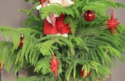 árbol de navidad