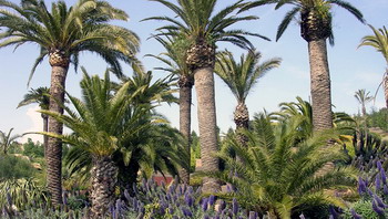 Jardí Botànic de Barcelona con niños