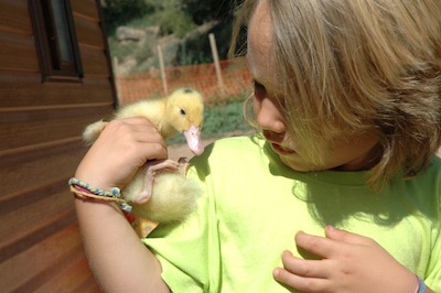 sortir-amb-nens-al-bages-centre-apropament-a-la-natura