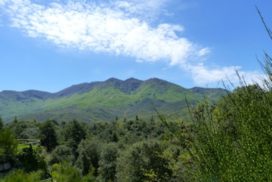 ruta de l'aigua de forès