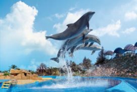 marineland