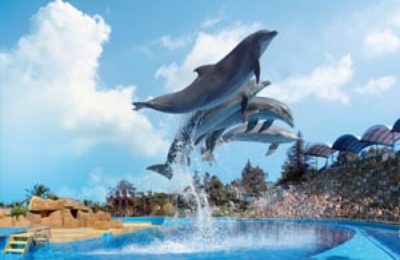 marineland