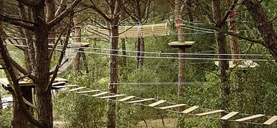 SORTIDA AL BOSC VERTICAL DE CAMDEVÀNOL | Institut Escola Mossèn Cinto