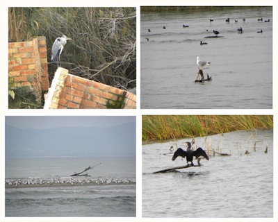 EN VAIXELL A LA DESEMBOCADURA DE L'EBRE