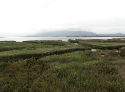 Delta de l'Ebre amb nens