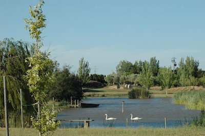 Delta de l'Ebre amb nens