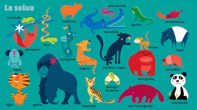 el mundo de los animales