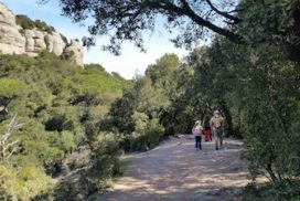 excursión con niños a la mola