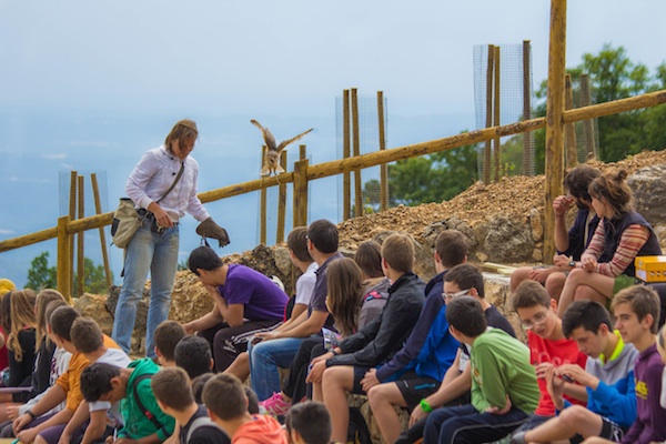 sortir-amb-nens al solsones-zoo-del-pirineu