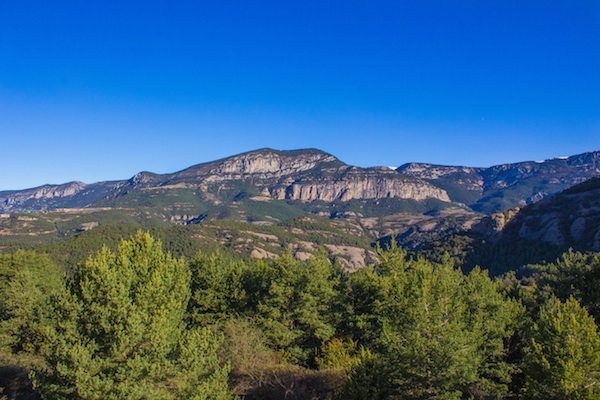 sortir-amb-nens al solsones-zoo-del-pirineu