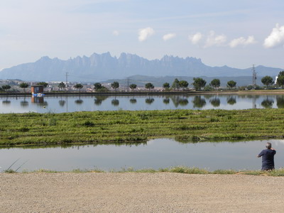 bages con niños