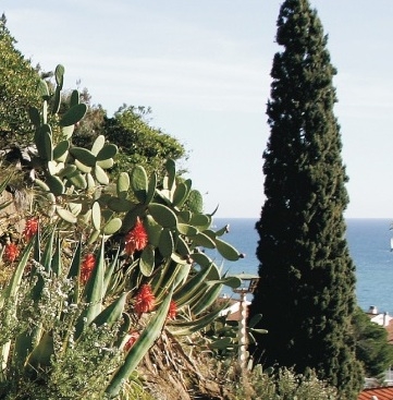 maresme con niños