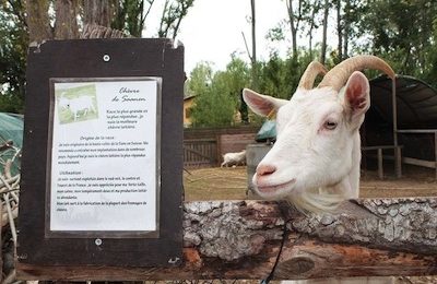 LA FERME DE DÉCOUVERTE SAINT ANDRÉ