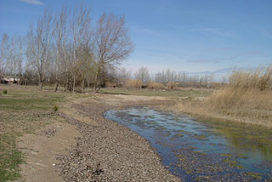 la comarca del Segrià amb nens