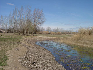 excursions per fer amb nens amb cotxet de bebè