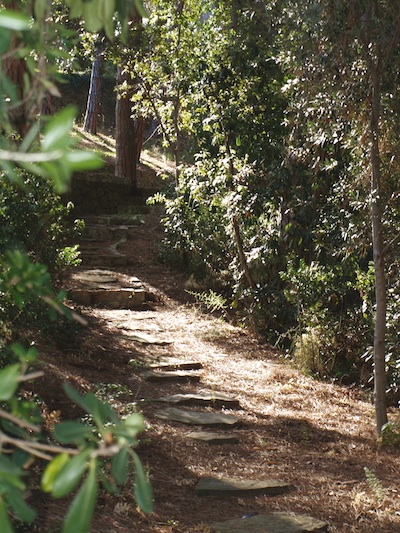 Parc de Can Muntanyà