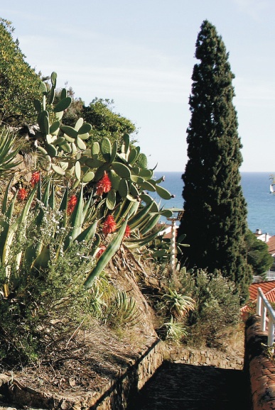 Parc de Can Muntanyà